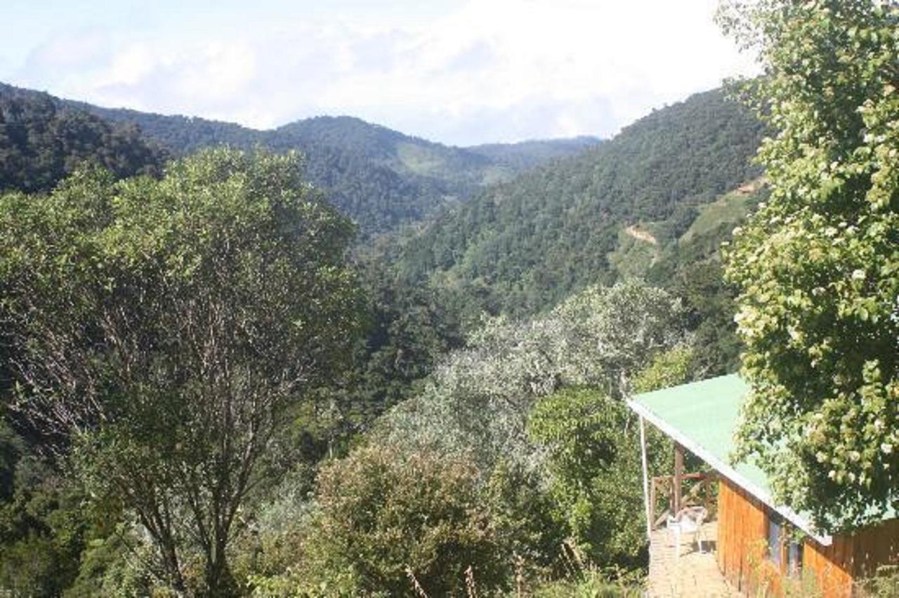 Quetzal Valley Cabins San Gerardo de Dota Kültér fotó