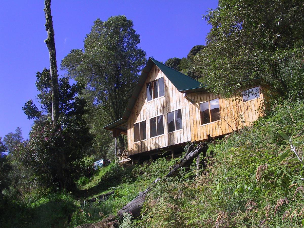 Quetzal Valley Cabins San Gerardo de Dota Kültér fotó